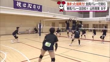 「全員で1点、25点をとる」主将のけが乗り越え結束深めた山形商業女子・7年ぶり優勝へ粘りの全員バレーで挑む【山形発】