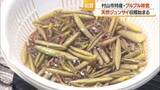 「ぬるぬる・シャキシャキ　箱舟に乗り初夏の味覚ジュンサイ摘み始まる　7月末まで楽しめる　山形・村山市」の画像1