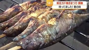 春の風物詩「新庄カド焼きまつり」始まる・5月5日まで　脂が乗った5000匹のニシン炭火焼き　山形