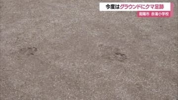 クマ体当たりで職員玄関のガラス割られた赤湯小学校で…今度はグラウンドに足跡点々と　山形・南陽市