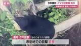 「【クマ出没】2026年度初「クマ出没警報」発令　1週間で目撃10件超えクマ遭遇リスク高まる　山形」の画像1