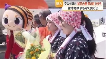 観光客・乗務員に紅花グッズ・花束渡し「紅花の町・河北町」PR　露地物は6月下旬見ごろ　山形空港