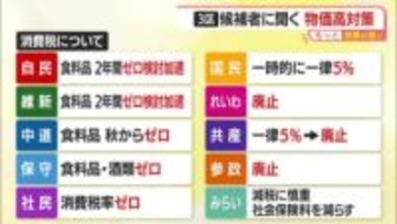 【衆院選／もっと投票の前に】物価高対策　山形3区4人の消費税減税など具体的な訴えは