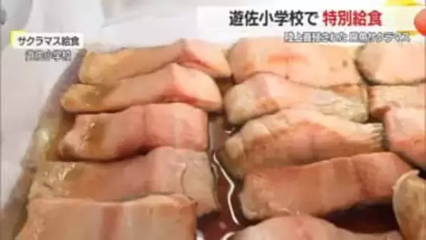 間引き魚の県魚「サクラマス」給食で提供　郷土の味と地元産業を子どもたちに伝える　山形・遊佐町