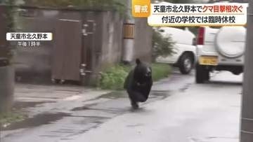 【クマ出没】住宅街で体長80センチのクマ目撃　天童北部小学校・第二中学校で臨時休校　山形・天童市