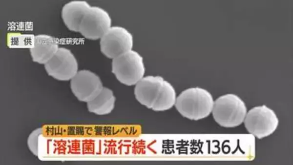 【感染症／山形】溶連菌の患者数136人（前週比-27人）　水痘（水ぼうそう）前週より増加