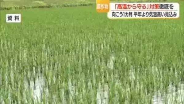 間断かん水など高温から農作物守る対策の徹底を　今後1カ月気温高く出穂期やや早まる見込み　山形