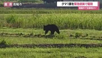 【クマ出没】JR赤湯駅など早朝に目撃相次ぎ愛露橋北側で緊急銃猟　2026年に入り3件目　山形・南陽市