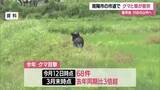 「【クマ出没】走行中の車とクマ衝突・山へ逃げる　目撃件数2025年の3倍超（3月末時点）　山形・南陽市」の画像1