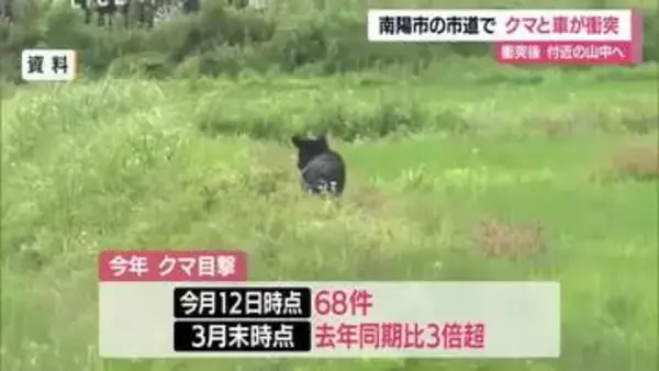 【クマ出没】走行中の車とクマ衝突・山へ逃げる　目撃件数2025年の3倍超（3月末時点）　山形・南陽市
