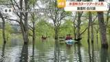 「湖面から木々が生えているような神秘的な景色・白川湖の水没林　カヌーツアー人気　山形・飯豊町」の画像1