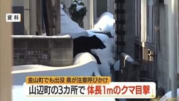 【クマ出没】山辺町の3カ所で体長1メートルのクマ目撃・同一個体か　金山町でも成獣1頭目撃　山形