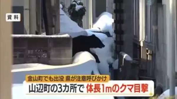 【クマ出没】山辺町の3カ所で体長1メートルのクマ目撃・同一個体か　金山町でも成獣1頭目撃　山形