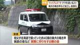 「“クマが嫌がる音”鳴らして追い払う　猟師の祖父の経験生かしイヌの鳴き声・銃声など音源化　山形」の画像1