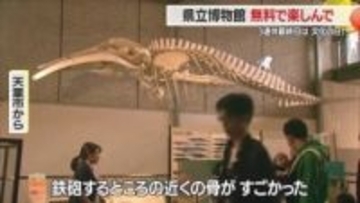 文化の日に“無料オープン”の県立博物館・普段の休日の3倍の人でにぎわう　文化・歴史に触れる　山形