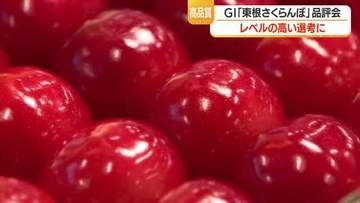 つやつやで色・実の張り予想以上のでき　「東根さくらんぼ」の魅力発信する“佐藤錦”の品評会　山形