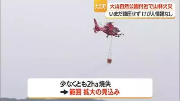 山林火災…少なくとも2ヘクタールが焼失　山形・大江町