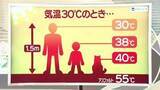「【天気／山形】子ども38℃・ペット40℃＆20日の詳しい天気　中村友祐気象予報士の天気予報(2)」の画像1