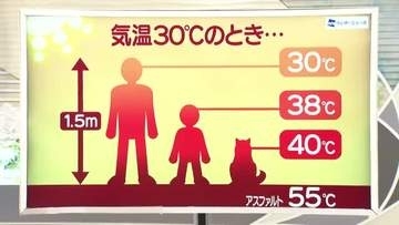【天気／山形】子ども38℃・ペット40℃＆20日の詳しい天気　中村友祐気象予報士の天気予報(2)