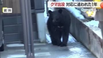 クマに翻ろうされた1年…人の生活圏とクマの生息域が重なる・自治体ごとに新たな対策も　あのニュースの今2025【山形発】