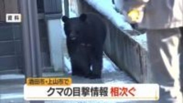 【クマ出没】酒田市・上山市の農地で目撃相次ぐ　県・各自治体が警戒呼びかけ　山形