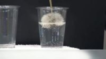 【天気／山形】撥水効果で水はじき濡れない＆28日の詳しい天気　中村友祐気象予報士の天気予報(2)