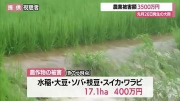 7月26日の大雨で山形県内の農業被害3500万円