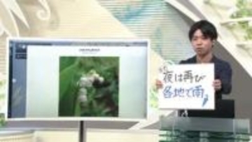 【エンドトーク】「」きょうの1枚＆28日の天気のポイント　山形