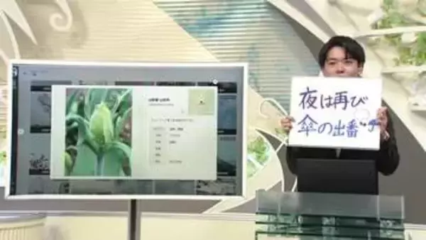 「【エンドトーク】きょうの1枚＆あすの天気のポイント　山形」の画像