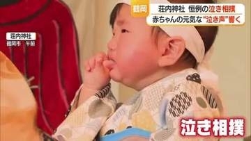 こどもの日…荘内神社で恒例の「泣き相撲」　　【山形・鶴岡市】