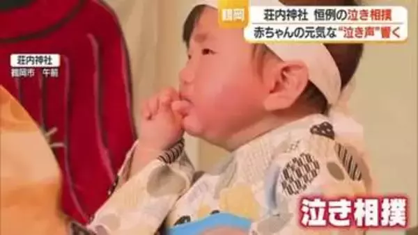 こどもの日…荘内神社で恒例の「泣き相撲」　　【山形・鶴岡市】