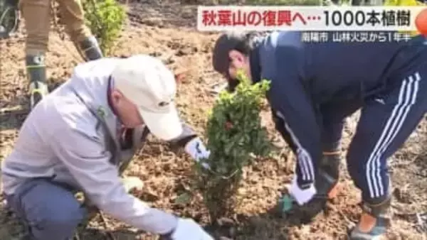 市シンボルのイチョウやヤマザクラなど1000本植樹・山林火災で木々焼失した秋葉山復興へ　山形・南陽市