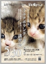 保護された子猫預かる講習会　  岡山で30日、参加者募る