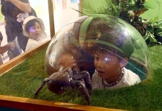 多彩な生き物 触れ合って　天満屋岡山店「すいぞくえん」24日まで