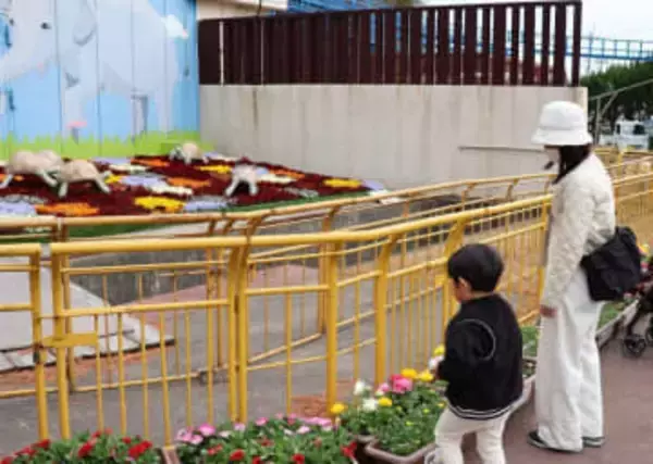 「動物たちと花フェス」開幕　池田動物園 花3万本彩る