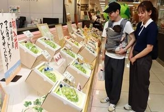 輝く夏の味覚 マスカット初入荷　岡山の百貨店　糖度、実太り良好