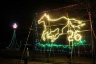 午とツリーのイルミで地域彩る　津山の県道沿いに住民設置