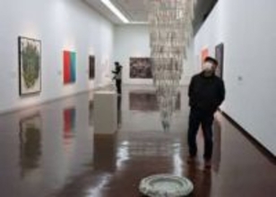 若手美術家11人の意欲作　岡山で「I氏賞」選考作品展開幕