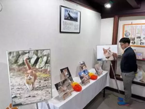 猫城主さんじゅーろーパチリ　高梁・あしあと館で5月10日まで写真展