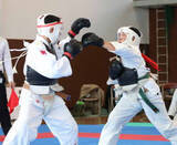 「160人が15部門で熱戦 日本拳法岡山県総合選手権」の画像1