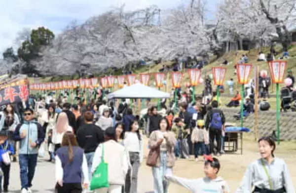 岡山さくらカーニバル　3月27日～4月5日開催