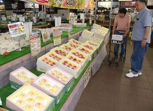 岡山県の夏の味覚・白桃 味わって　販売会や食べ放題イベント