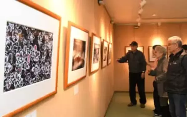 幻想的「霜」の世界、マクロで撮影　岡山・瀬戸で柴奥さん写真展