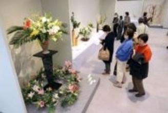 うきうき 春への高揚感　岡山県華道展開幕