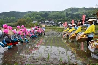昔ながらの田植え披露　新見市哲西地区で早乙女手際よく