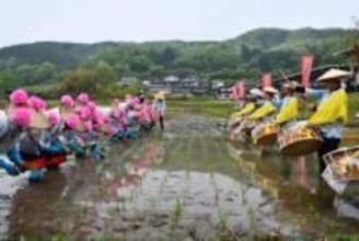 昔ながらの田植え披露　新見市哲西地区で早乙女手際よく
