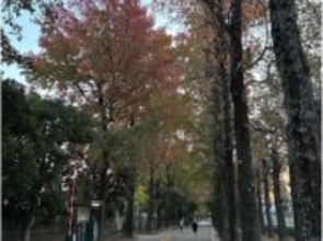 「立冬」らしい寒い朝　北部山地は10月中、下旬並み