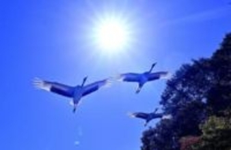 県自然保護センター写真展 26点展示　中浦さん（赤磐）最優秀