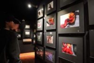 エヴァの世界観感じて　イオンモール岡山　セル画や原画、設定資料500点