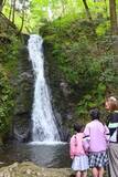 「清水と新緑を堪能　津山・横野滝開き」の画像1
